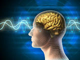 ElektroEncefaloGrafie - EEG