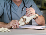 Preventivním vyšetřením předejdete závažným následkům osteoporózy 