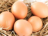Cholesterolu z vajíček se bát nemusíte