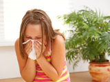 Imunitní systém funguje jako armáda, přesto na alergii nestačí. Jak alergeny přelstít?