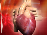 Prvním příznakem hypertrofické kardiomyopatie je náhlá smrt