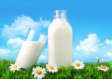 Nepleťte si laktózovou intoleranci s alergií na mléko