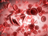 Hemofilie: nemoc z královské krve