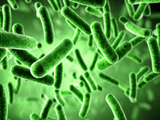 Superodolná bakterie NDM-1 děsí 