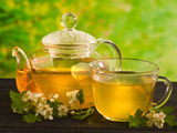 10 nejlepších bylinkových čajů na vaše neduhy (díl 2.)