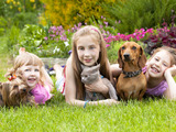 Canisterapie: léčba psí láskou pomáhá dětem i unaveným dospělým
