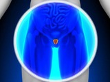 Biopsie prostaty: Jak se provádí a jaká má rizika?