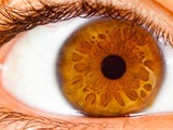 Změna barvy oka u dospělého člověka může být varovným signálem onemocnění 