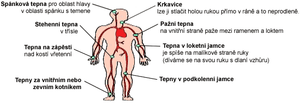 První pomoc při zevním krvácení