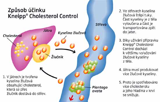 Cholesterol control