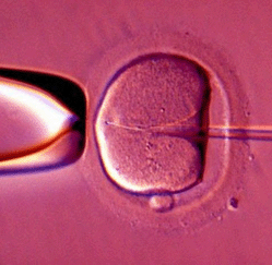 Hranice pro darování spermatu? Nesmysl